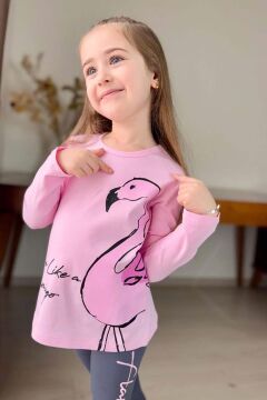 Kız Çocuk Flamingo Baskı ve Yazı Detaylı Pembe Taytlı Takım