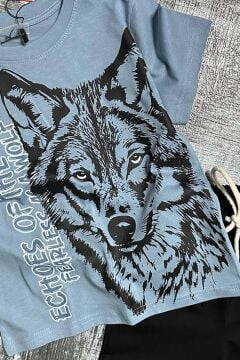 Erkek Çocuk Kara Kalem Kurt ve Yazı Baskılı Mavi T-Shirt Eşofman Takım