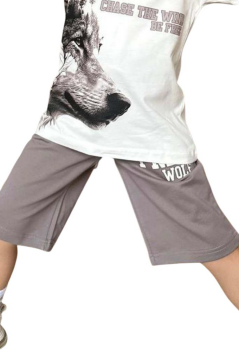 Erkek Çocuk Kurt Ve Free Wolf Yazı Baskılı Gri Şortlu Takım