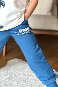 Erkek Çocuk Dinazor Digital Baskı Ve Yazı Detaylı T-Shirt Mavi Eşofman Takım
