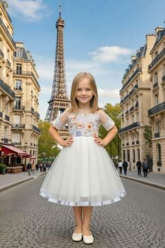 Kız Çocuk Etek Ucu Şerit ve Göğsü Gül Baskılı Yakası Şeffaf Gri Elbise