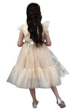 Kız Çocuk Gömlek Yaka Göğsü Ve Kolları Tül Detaylı Wednesday Somon Elbise